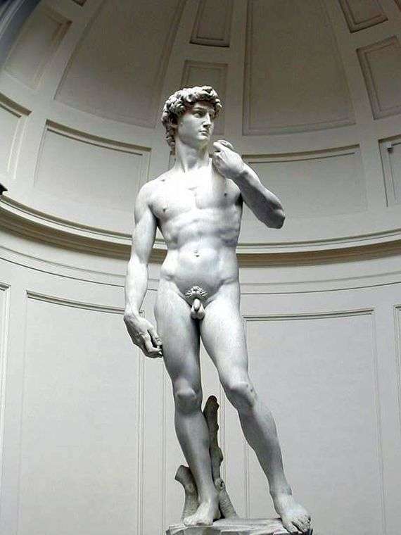 Описание скульптуры Микеланджело Буанарроти «Давид»
