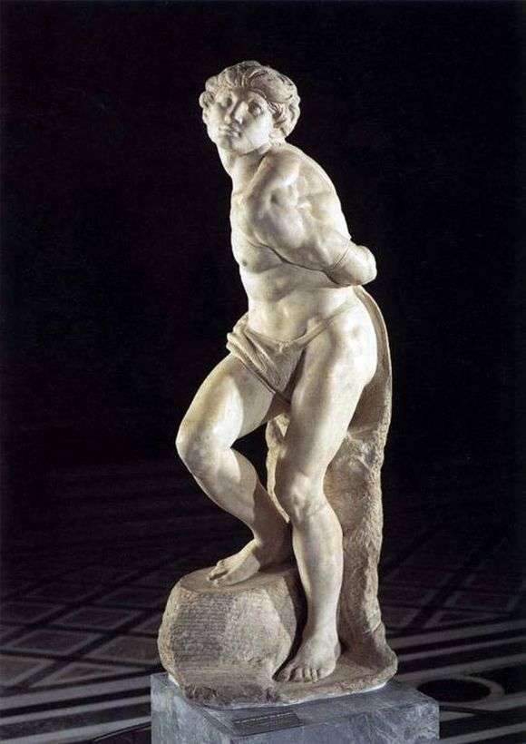 Описание скульптуры Микеланджело «Скованный раб»