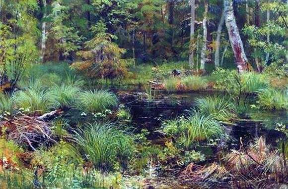 Описание картины Ивана Шишкина «Родник в лесу»