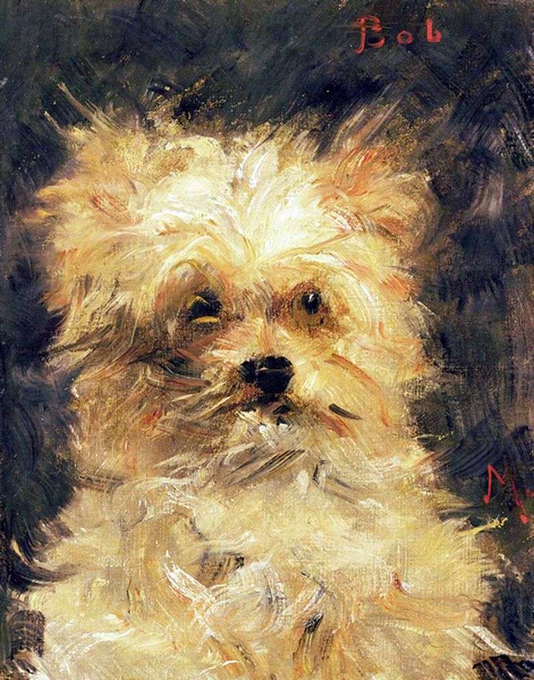 Описание картины Эдуарда Мане «Голова собаки»