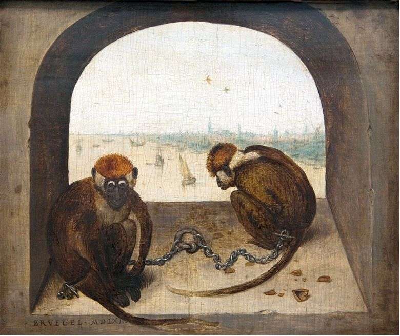 Описание картины Питера Брейгеля Старшего «Две обезьяны»