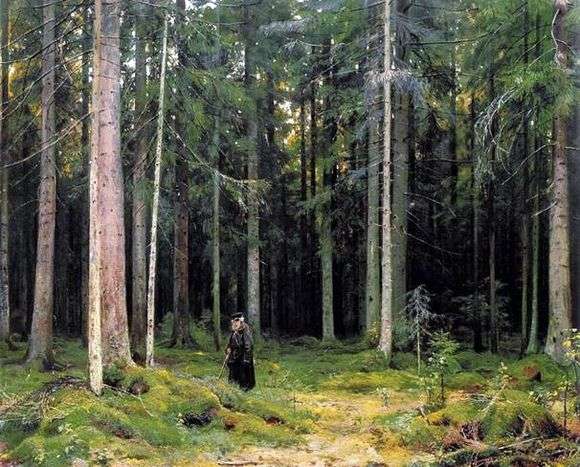 Описание картины Ивана Шишкина «В лесу графини Мордвиновой»