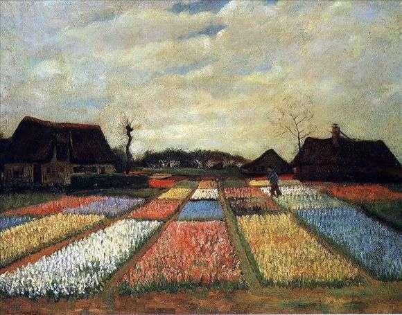 Описание картины Винсента Ван Гога «Поля тюльпанов»