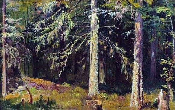 Описание картины Ивана Шишкина «Еловый лес»