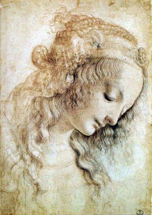 Описание картины Леонардо да Винчи «Голова женщины»