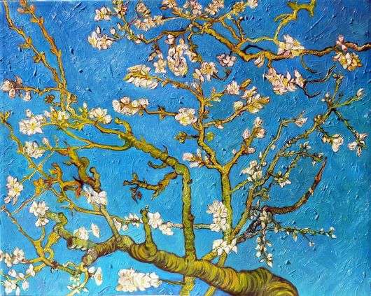 Описание картины Винсента Ван Гога «Цветущие ветки миндаля»