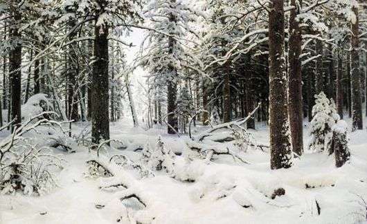 Описание картины Ивана Шишкина «Зима» (Зимний лес)