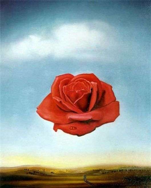Описание картины Сальвадора Дали «Цветок» («Медитативная роза») 