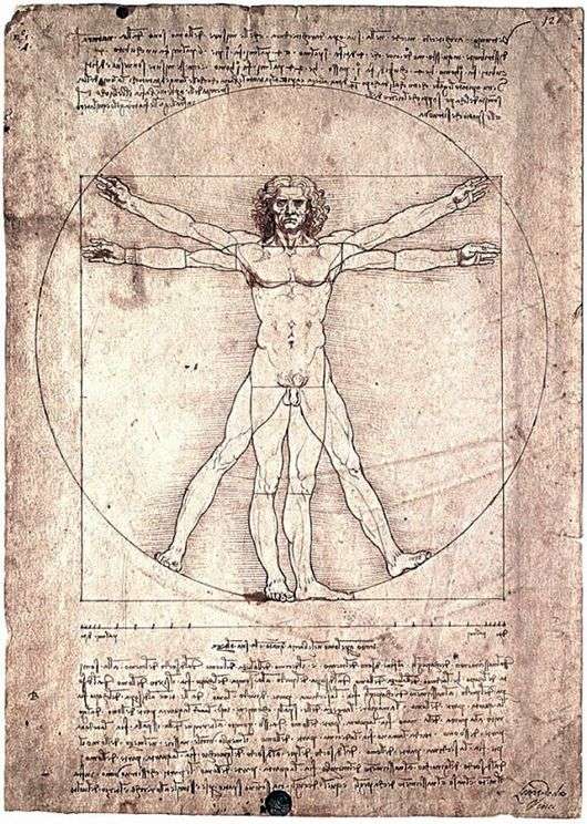 Описание картины Леонардо да Винчи «Витрувианский человек»